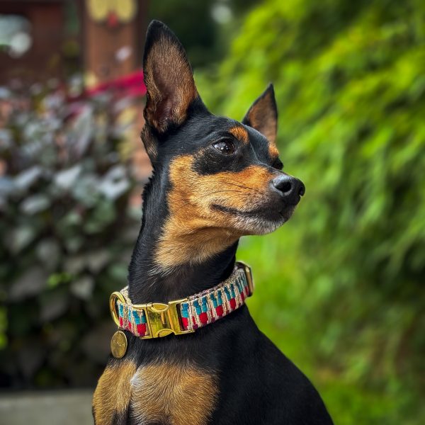 Halsband „Rainbow“