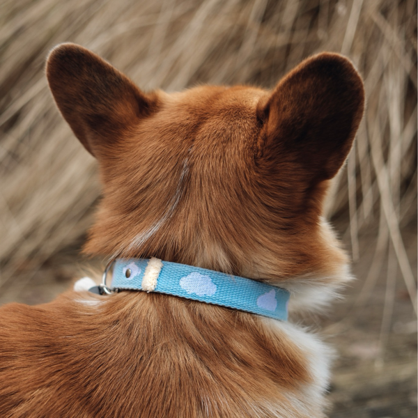 Halsband „Cloud“