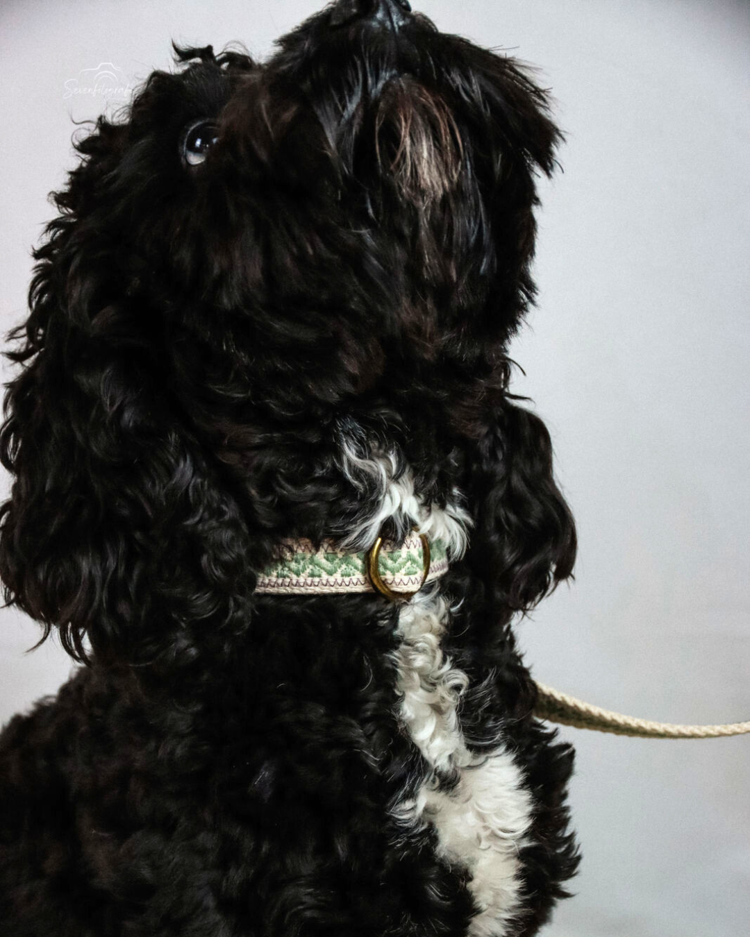 Halsband „Nature Stitch“ – Frei gestaltbar – Bild 8