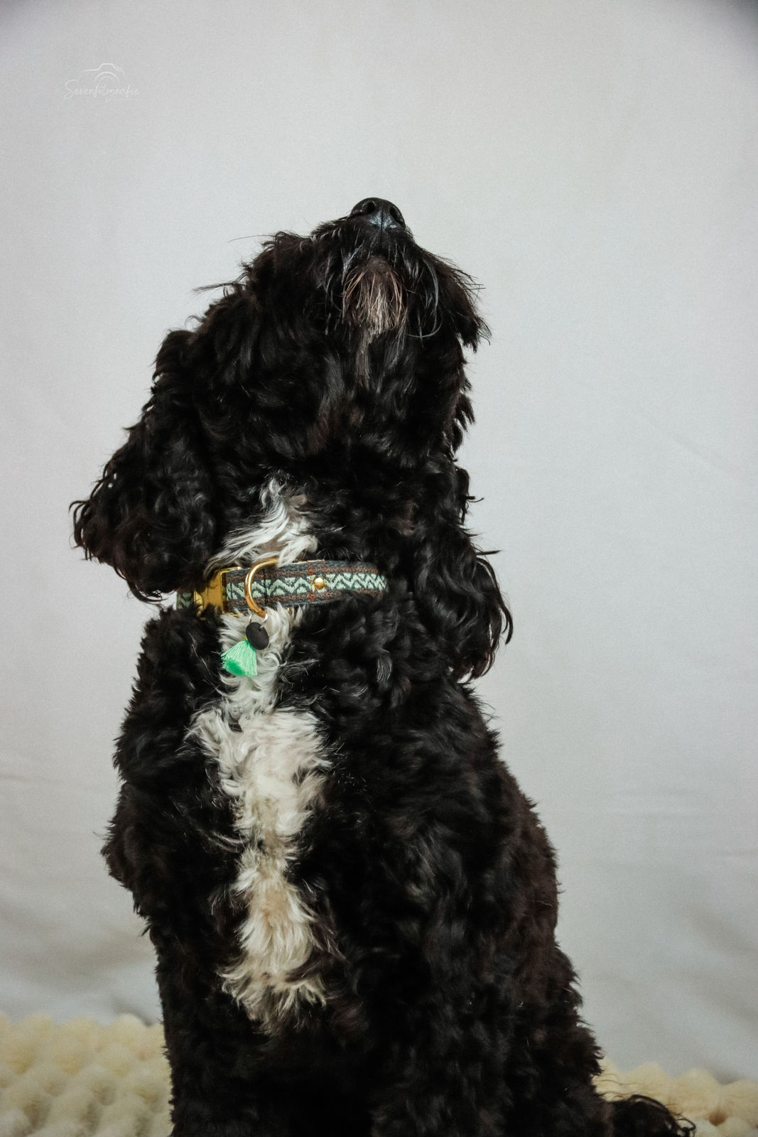 Halsband „Nature Stitch“ – Frei gestaltbar – Bild 2