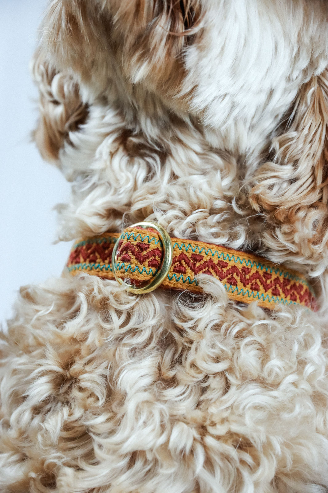 Halsband „Nature Stitch“ – Frei gestaltbar