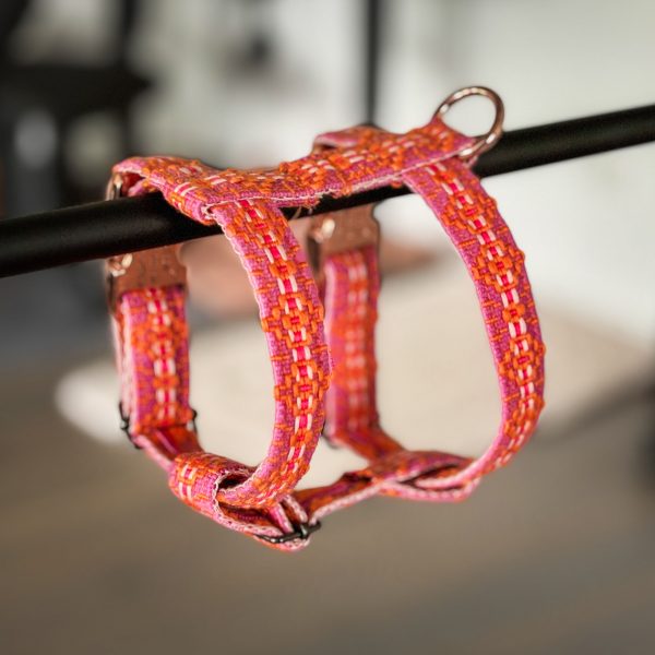 Hundegeschirr „Indian Pink“