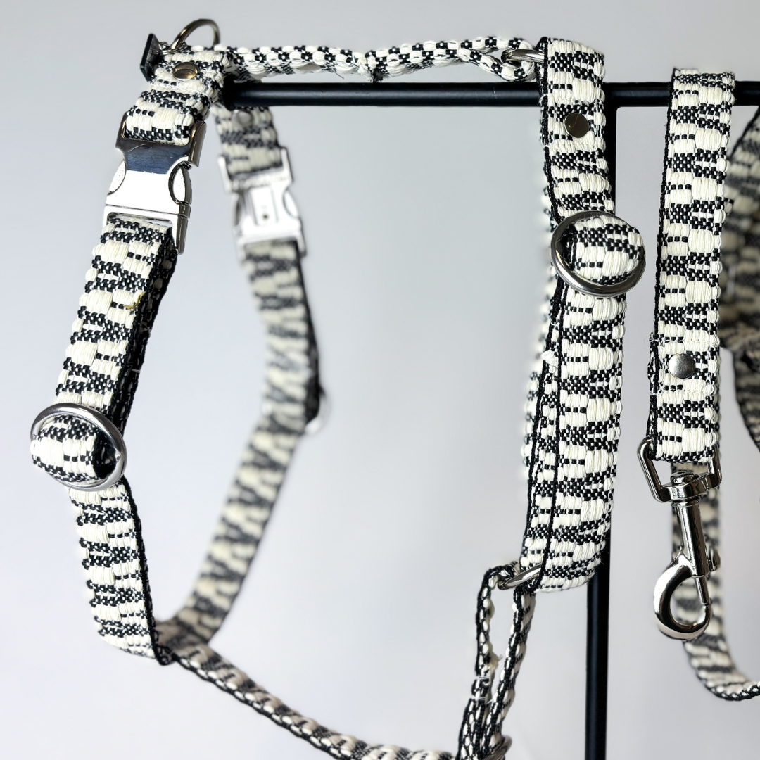 Hundegeschirr „City Vibes“ – Bild 2