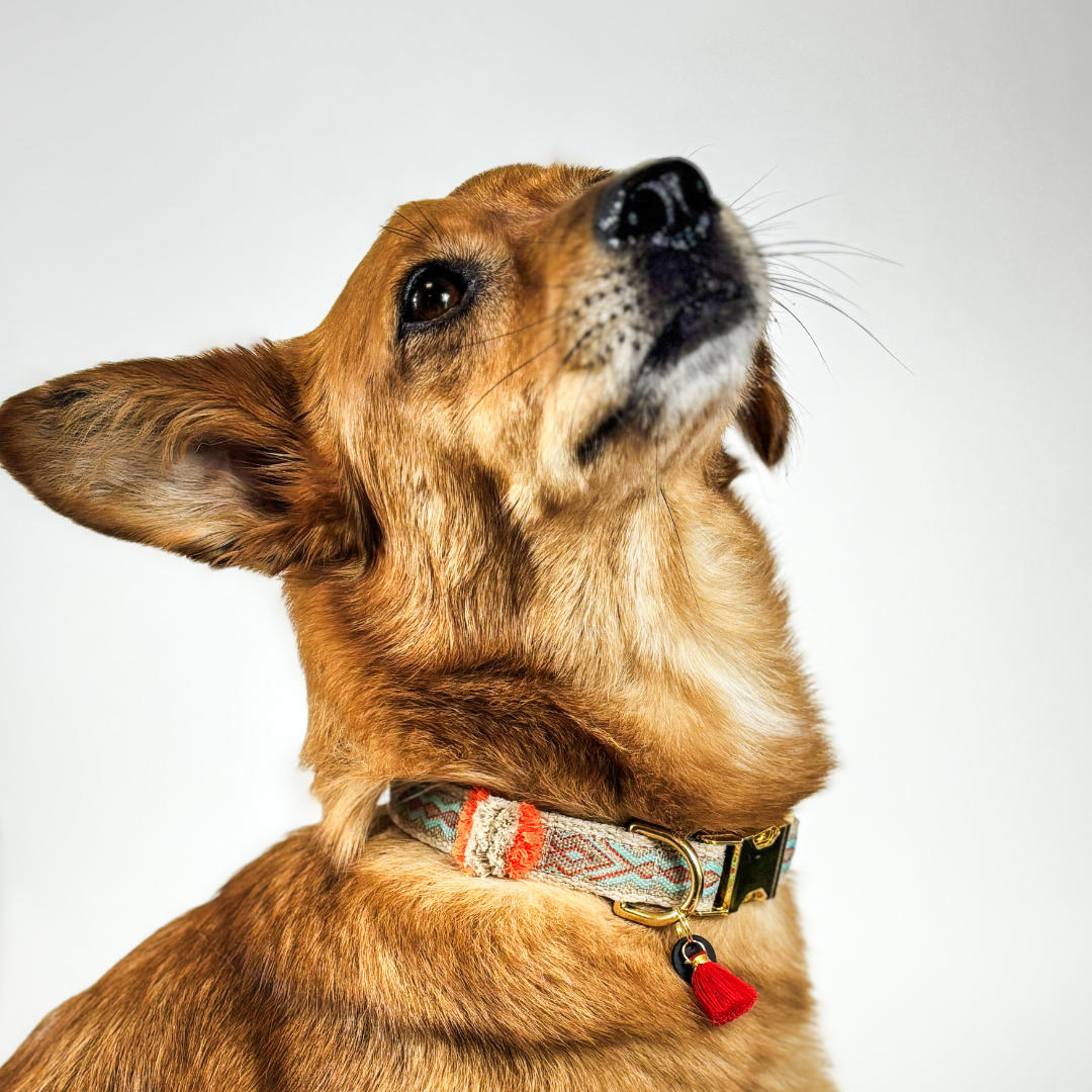 Halsband „Golden Desert“ – Bild 2