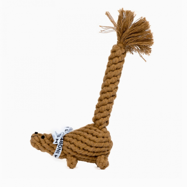 LABONI - Eddie Eichhorn