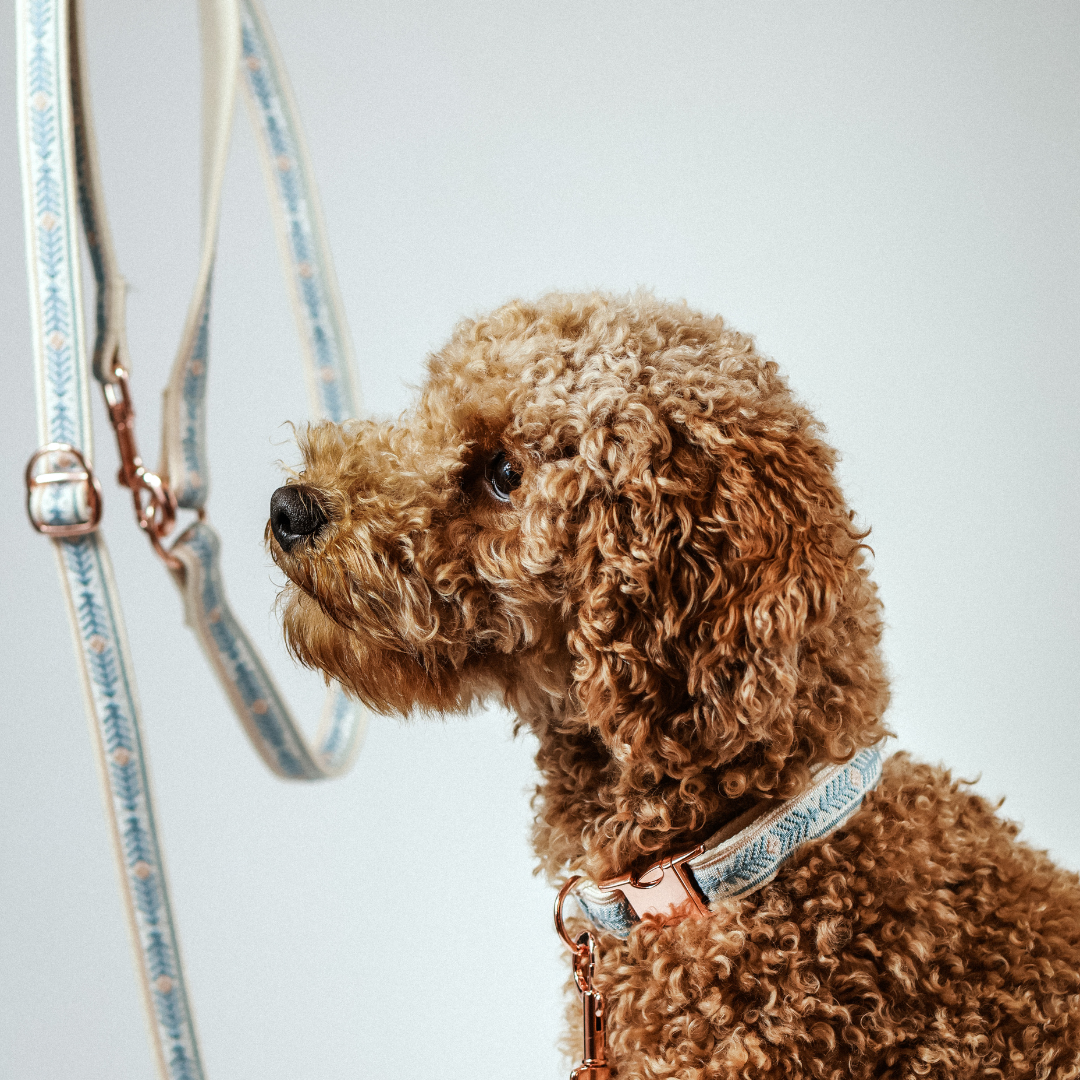 Leine „Boho Sky" – Bild 3