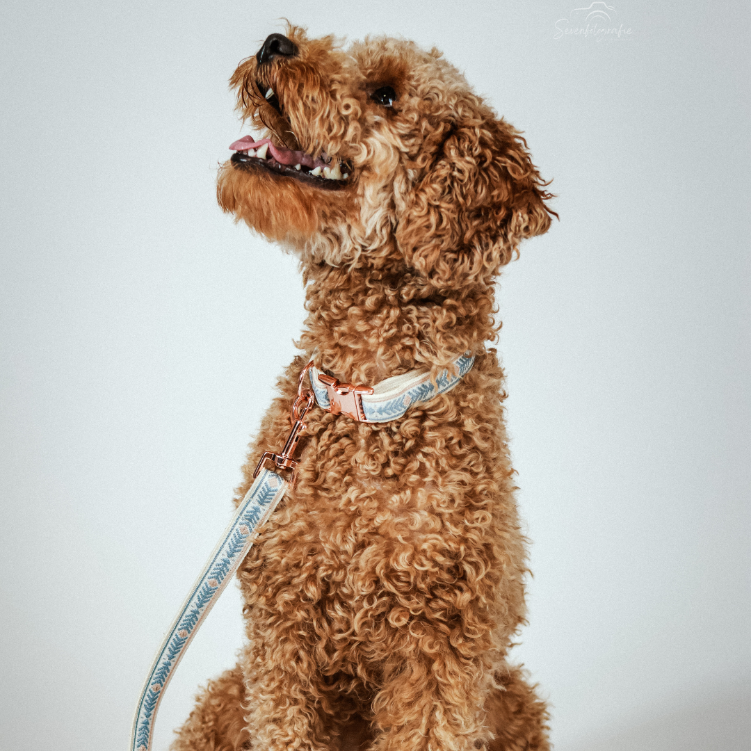 Leine „Boho Sky" – Bild 5