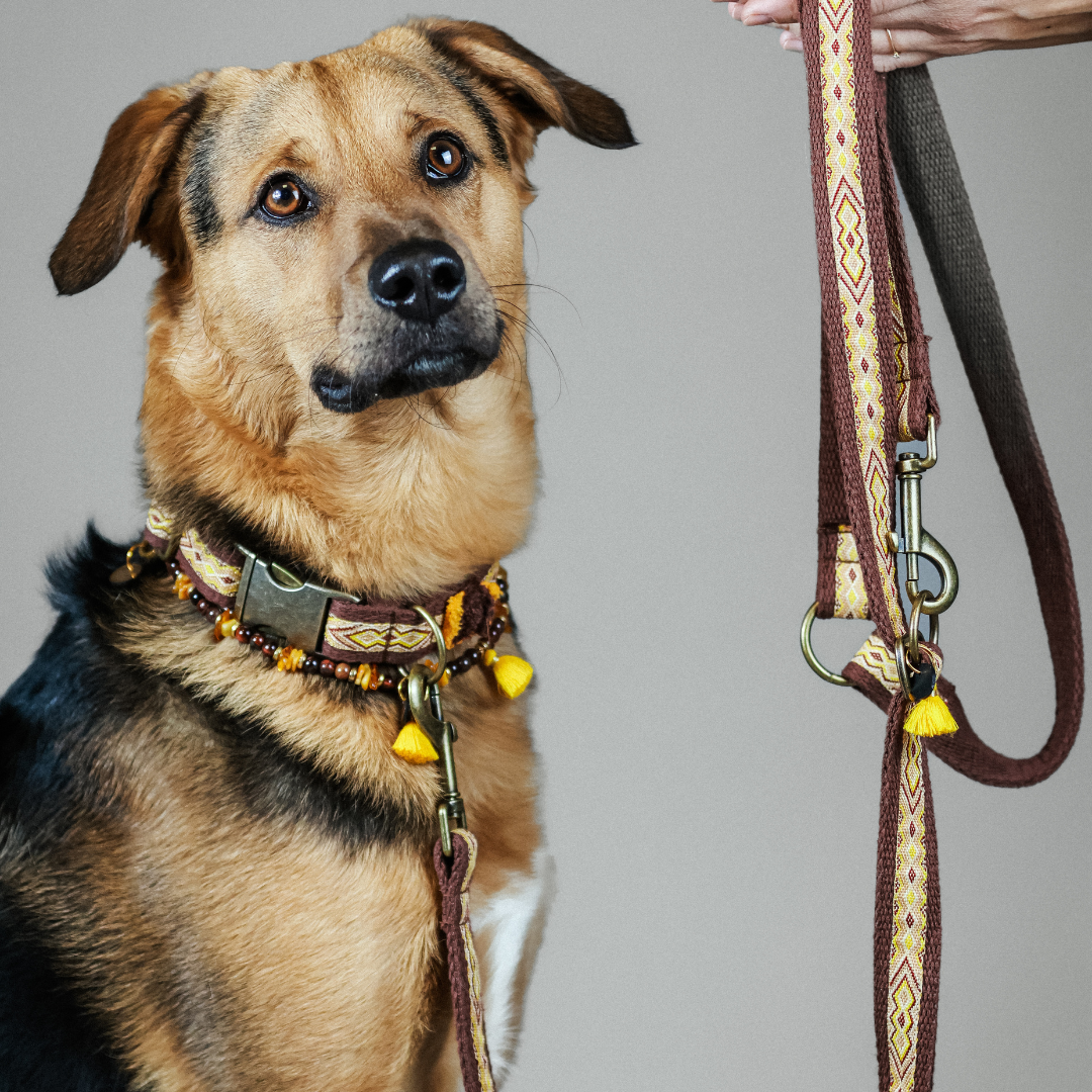 Leine „Golden Tribe" – Bild 4