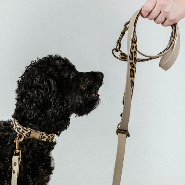 Leine „Biothane Elements" (Mix & Match)