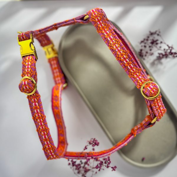 Hundegeschirr „Indian Pink“