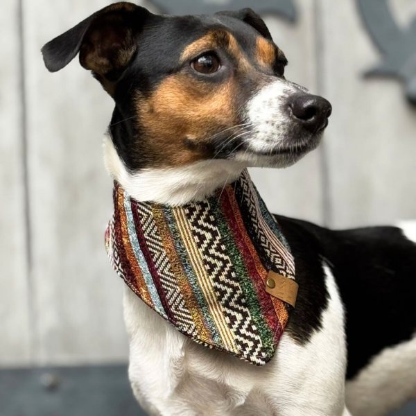 Hundehalstuch "Boho Outlander“