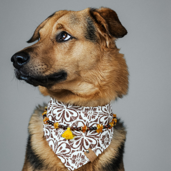 Hundehalstuch "Vintage Brown“