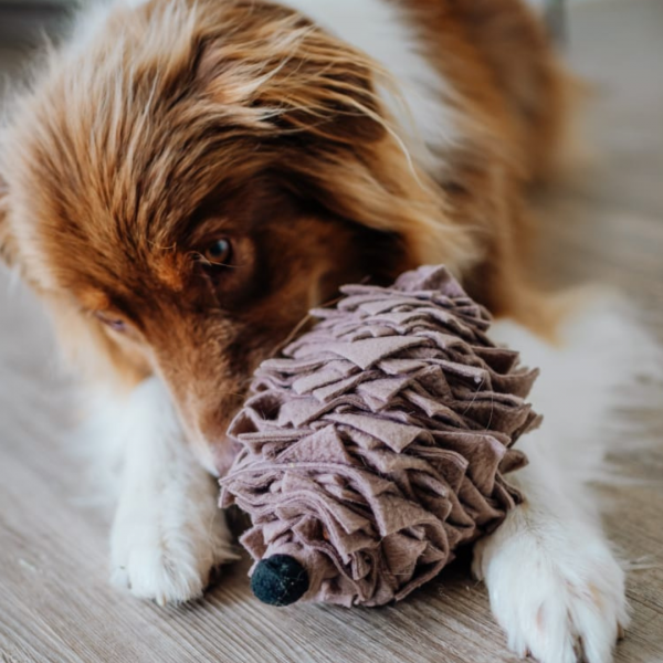 Hej Henry - Schnüffelspielzeug Igel Taupe
