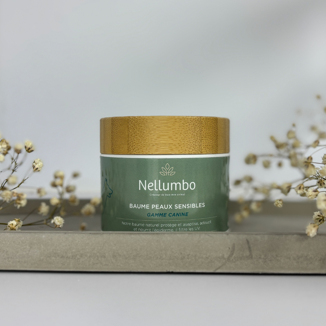 Nellumbo - Balsam für empfindliche und heilende Hundehaut