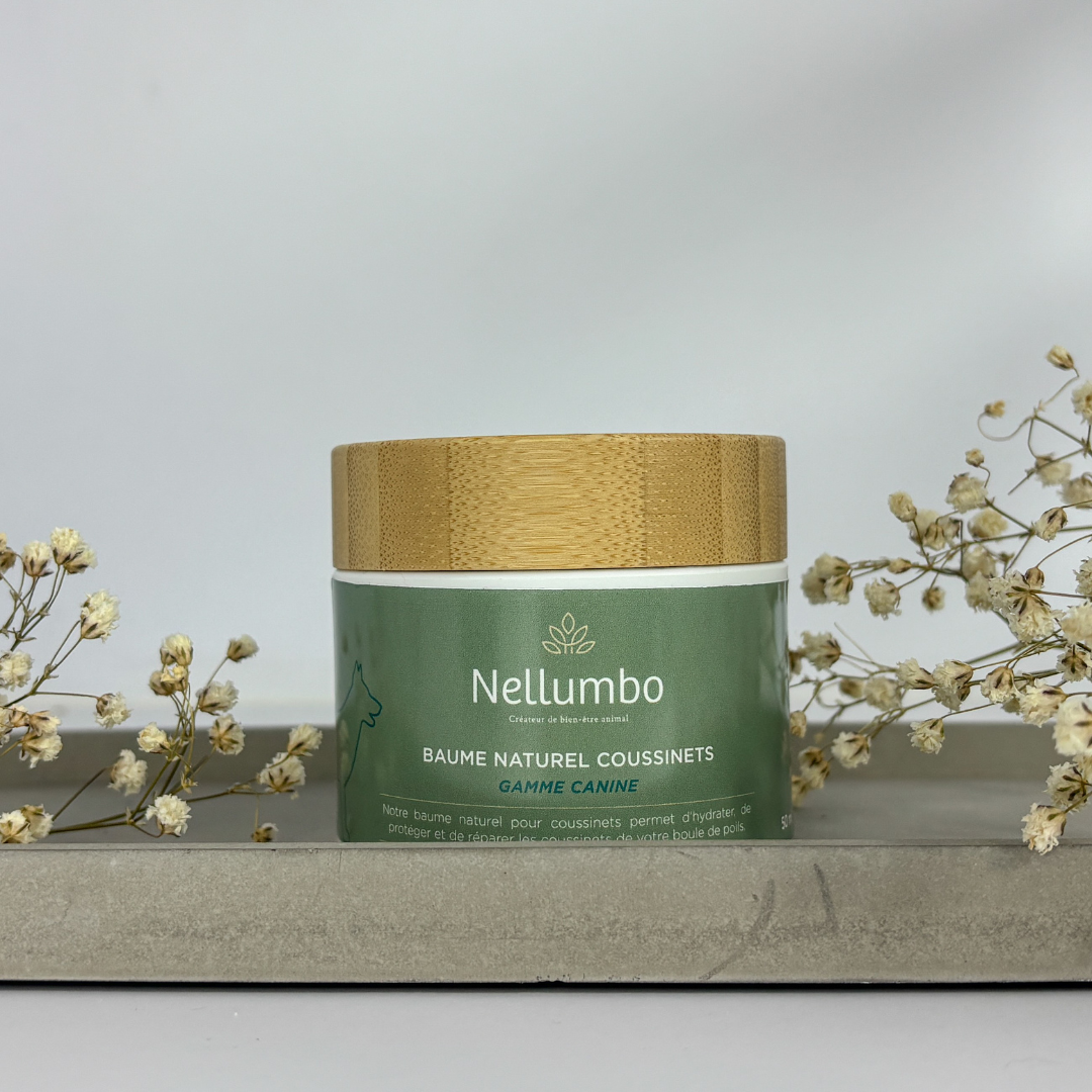 Nellumbo - Pfotenpflegebalsam