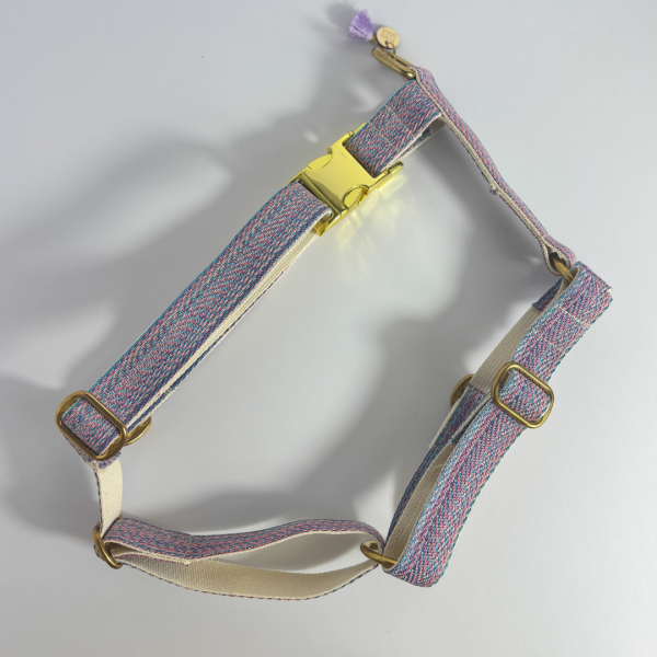 Hundegeschirr „Dream“