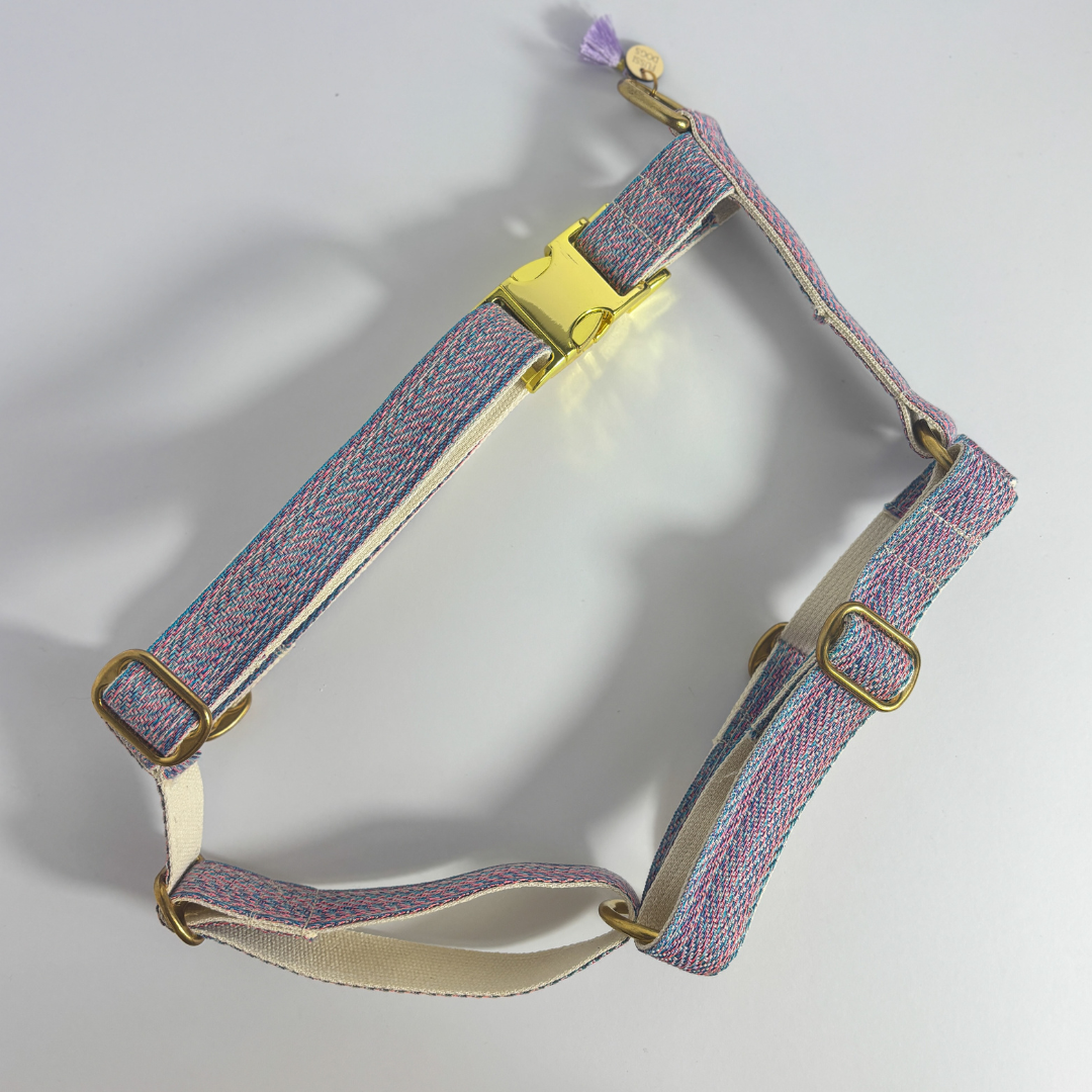 Hundegeschirr „Dream“