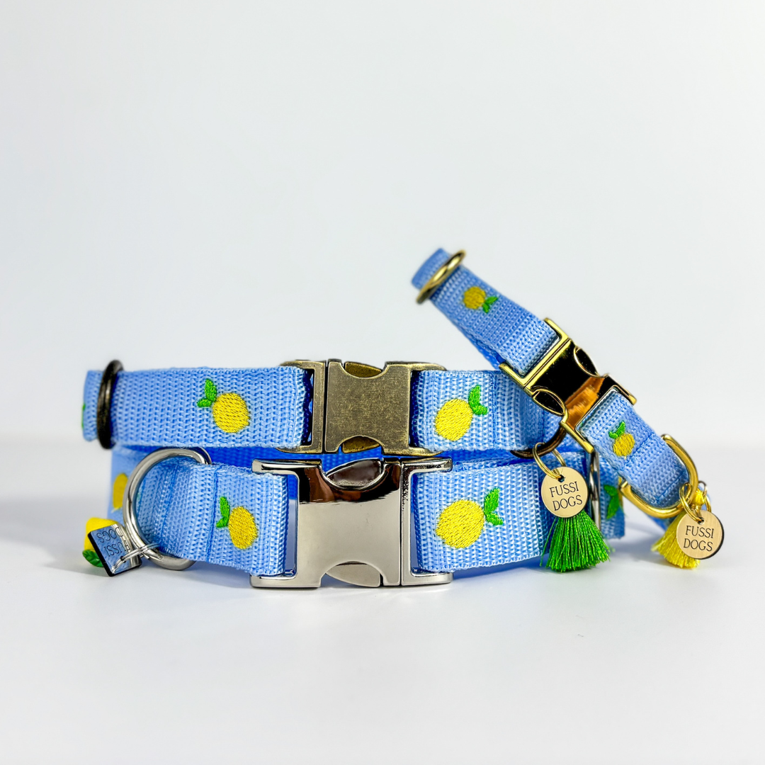 Halsband „Lemon“ – Bild 4