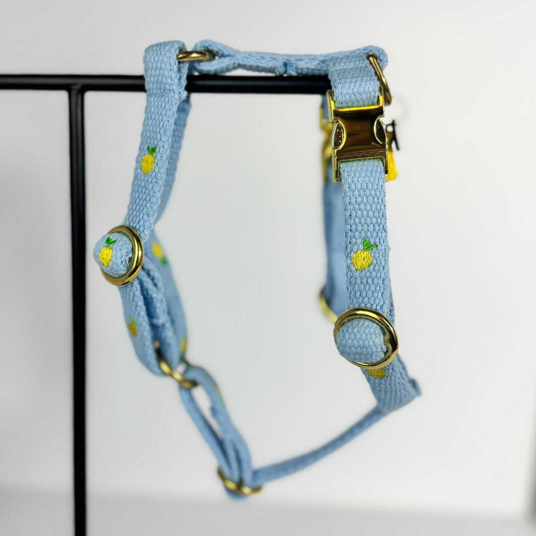 Hundegeschirr „Lemon“