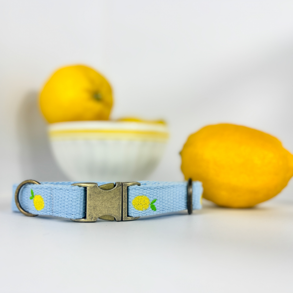 Halsband „Lemon“
