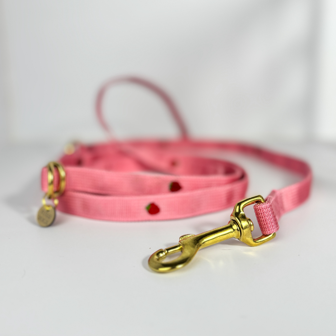 Leine „Strawberry“ – Bild 3