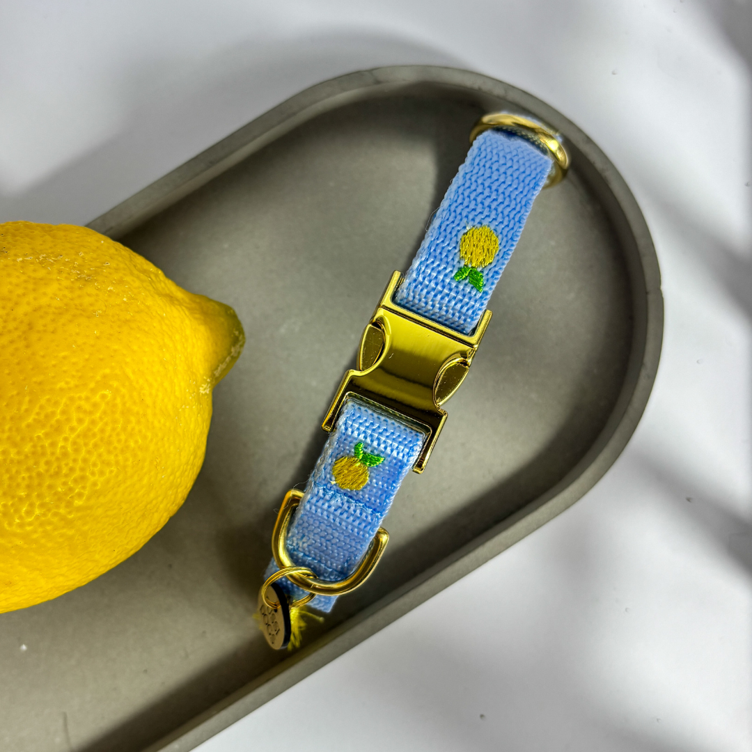 Halsband „Lemon“ – Bild 2