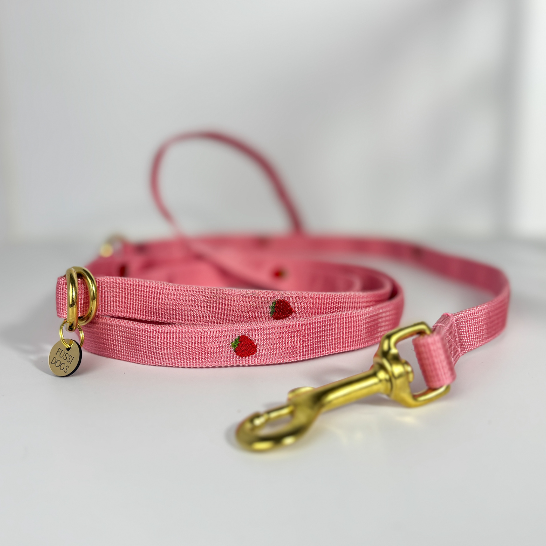 Leine „Strawberry“ – Bild 4