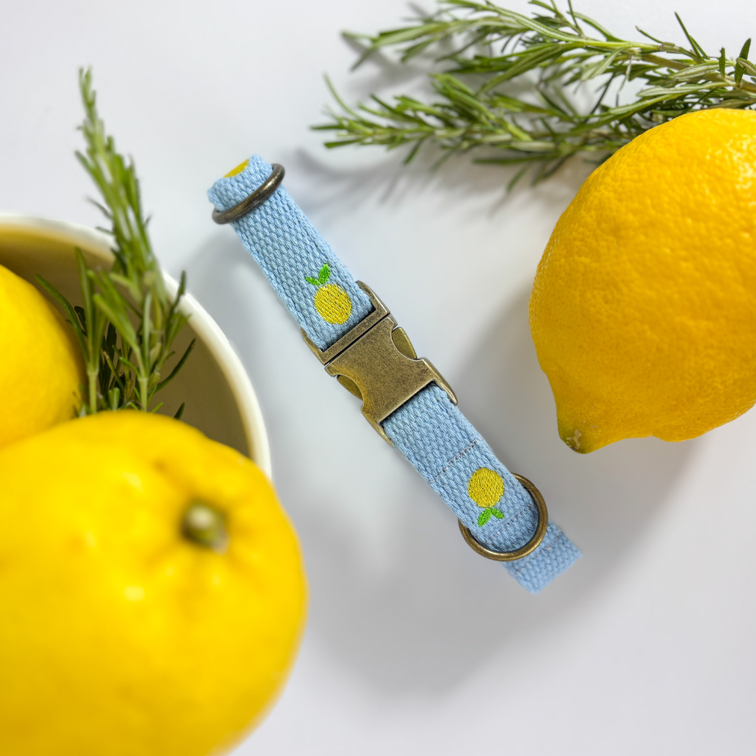 Halsband „Lemon“ – Bild 3