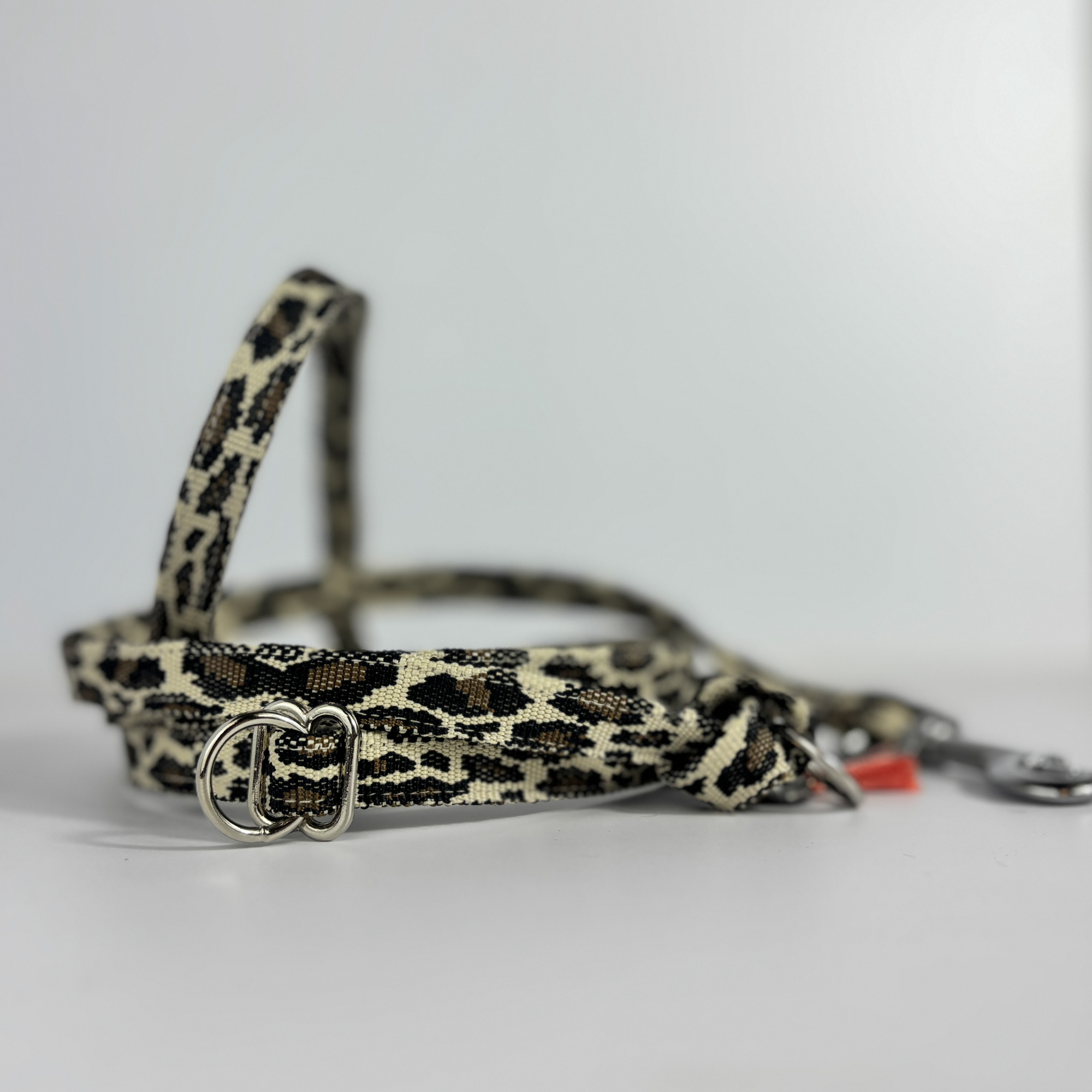 Leine „Leo Love“ Limited – Bild 2