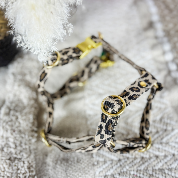 Hundegeschirr „Leo Love“ LIMITED