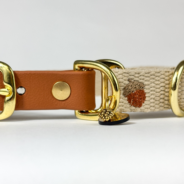 Halsband „Acorn“