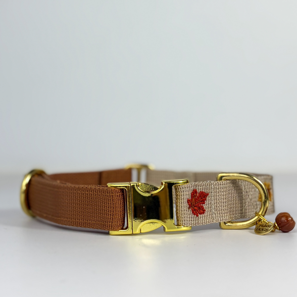 Halsband „Autumn“